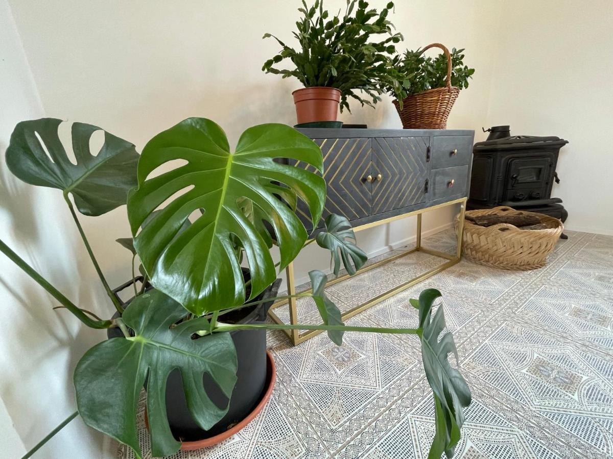 Cilka'S House, Authentic Homestay Near Lipica Sežana Zewnętrze zdjęcie