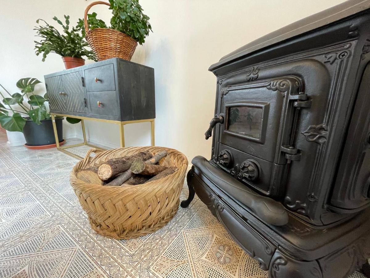 Cilka'S House, Authentic Homestay Near Lipica Sežana Zewnętrze zdjęcie