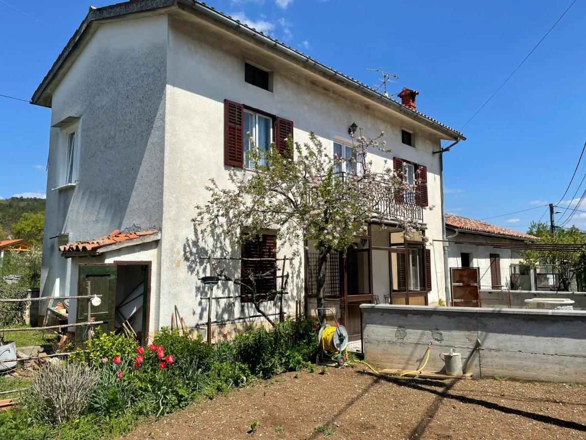 Cilka'S House, Authentic Homestay Near Lipica Sežana Zewnętrze zdjęcie