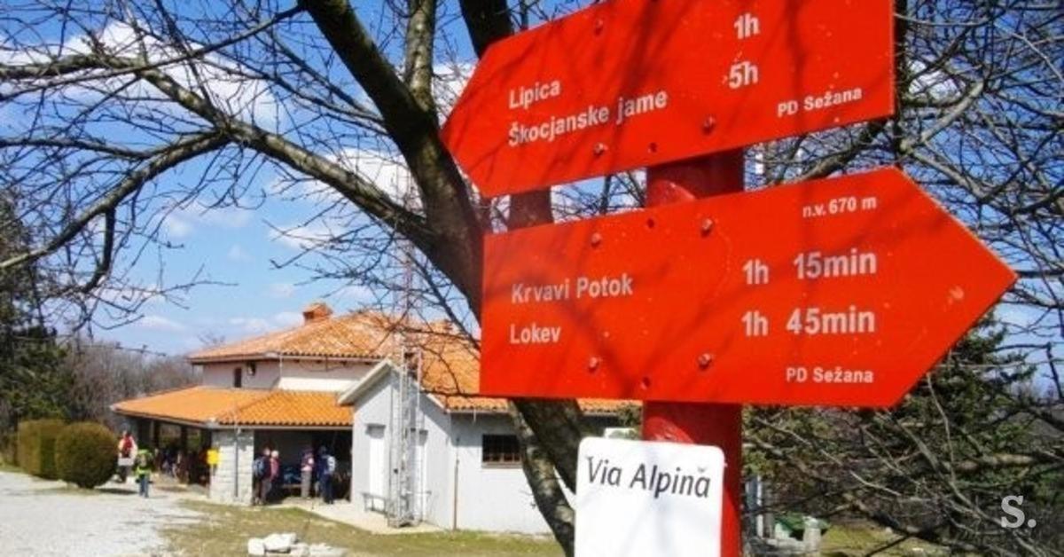 Cilka'S House, Authentic Homestay Near Lipica Sežana Zewnętrze zdjęcie